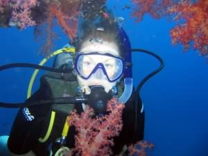 Suzanne on wreck