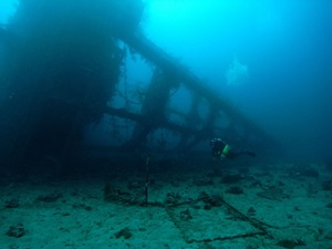 Aqaba Dive Safari