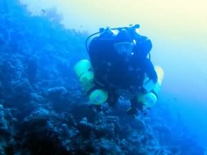 75m warm up dive for 131m Dive in Aqaba