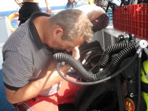 Checking Pelagian Rebreather