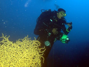 77m warm up dive on air to build up nitrogen tolerance