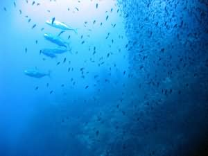 Aqaba Blue Hole