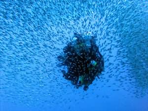 Aqaba Blue Hole