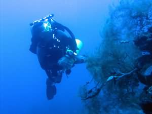 Aqaba Blue Hole