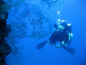 Aqaba Blue Hole
