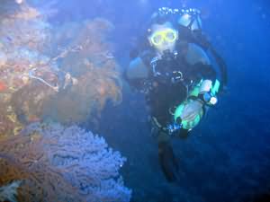 Aqaba Blue Hole