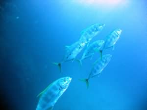 Aqaba Blue Hole