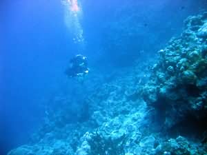 Aqaba Blue Hole