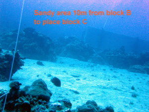 Sand area for 18 ton block C
