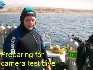 Project supervisor