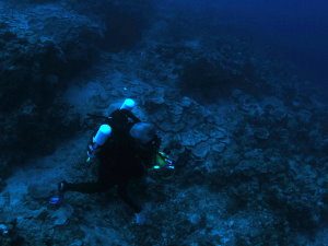Maximum depth 37m