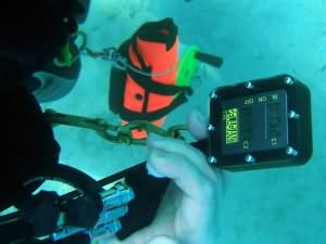 Pelagian course in Aqaba