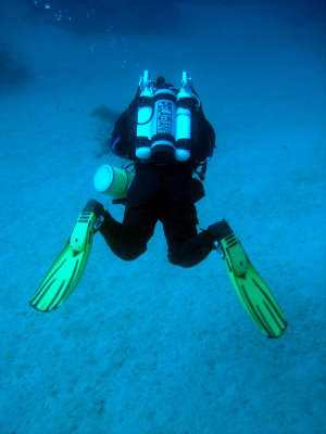 Pelagian module two course in Aqaba