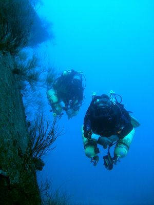 Pelagian module two course in Aqaba