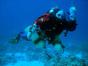 Pelagian module two course in Aqaba