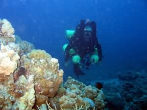 Rebreather diver in Aqaba