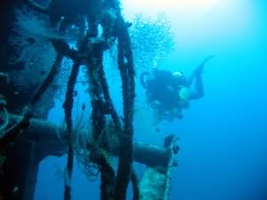 Rebreather diver in Aqaba