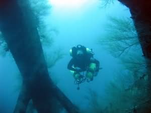 Rebreather diver in Aqaba