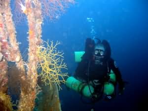 Rebreather diver in Aqaba