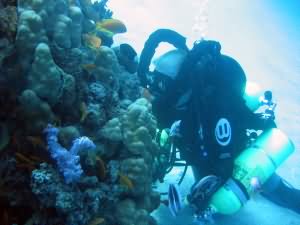 Rebreather diver in Aqaba