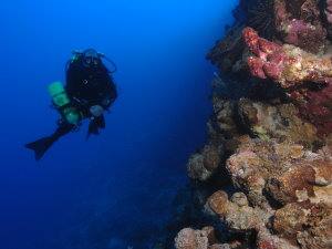 Rebreather diver in Aqaba
