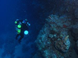 Rebreather diver in Aqaba