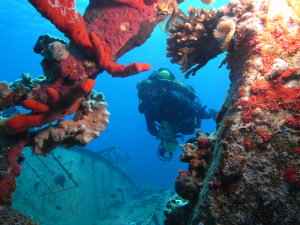Rebreather diver in Aqaba
