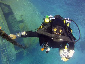 Eyal Sayag on Pelagian by Cedar Pride Wreck