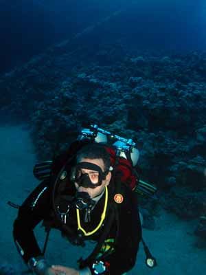 Under the Cedar pride wreck