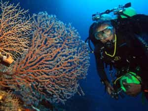 Technical diver