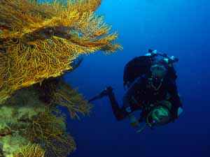 Technical Diver