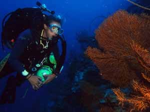 Technical Diver