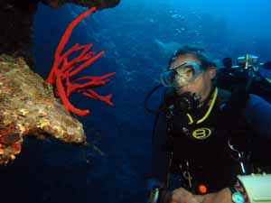 Technical diver