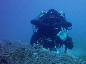 CCR diver