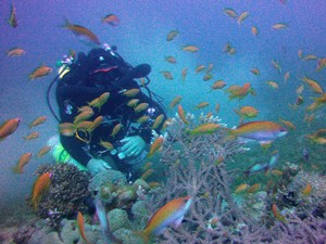 CCR Diver
