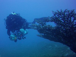 CCR diver