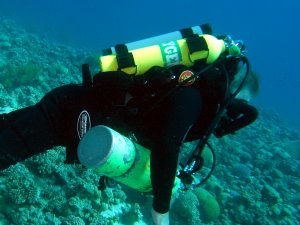 Diving with the Pelagian