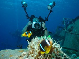 Cedar Pride wreck