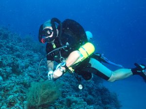 King Abdullah reef