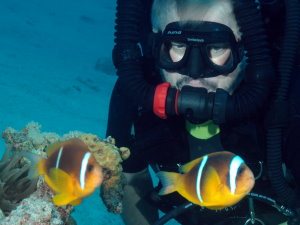 Clown fish encounter