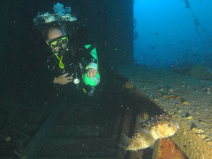 Burr fish encounter