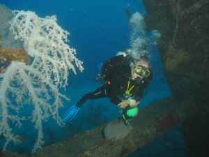 Taiyong - soft corals on the crane