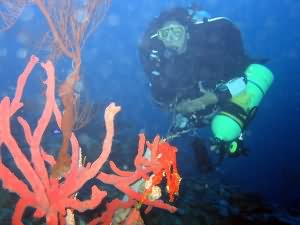 Aqaba Blue Hole
