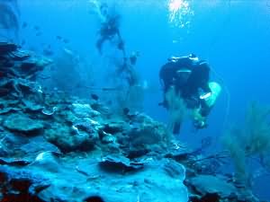 Aqaba Blue Hole