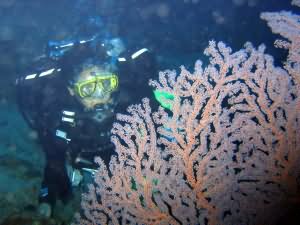 Aqaba Blue Hole