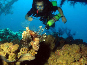 Lion fish & Moray Eel