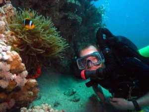 Clown fish