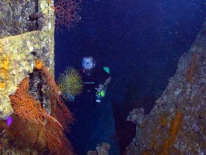 Inside the hold