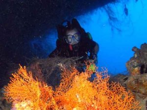 Under the wreck