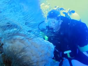 Yellowstone Reef